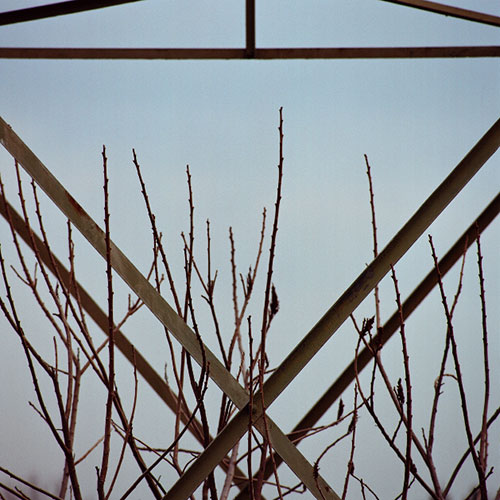 Peach Hill photo: branches and high tension tower