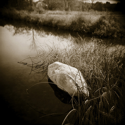 Untitled pond Holga photo