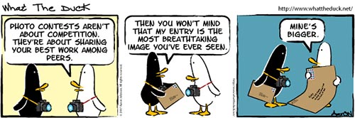 What the Duck photography comic strip number 162